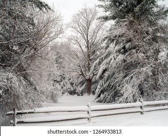 Fresh Snowfall In Monmouth Battlefield State Park In Freehold New Jersey.