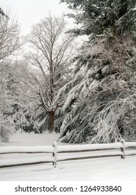 Fresh Snowfall In Monmouth Battlefield State Park In Freehold New Jersey.