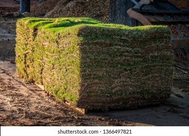 Fresh Sod Grass Squares Stacked On Pallet Ready For Landscape Installation.