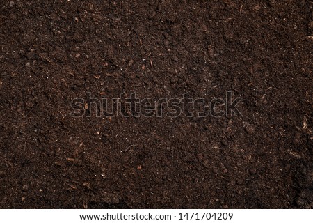 Fresh soil for gardening as background, top view