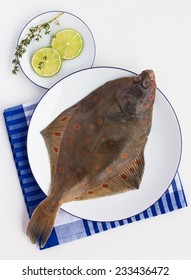 Fresh Sole Fish On The White Background