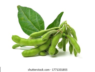 Fresh Soybean With Pod And Leaf