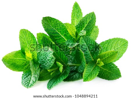 Fresh spearmint leaves isolated on the white background. Mint, peppermint close up
