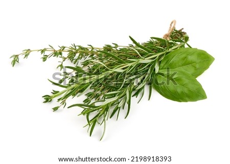 Fresh spices and herbs, basil, rosemary, thyme, isolated on white background