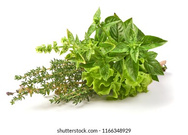 Fresh spices and herbs bouquet, isolated on white background. Dill, lettuce, thyme, sage. Isolated on white background