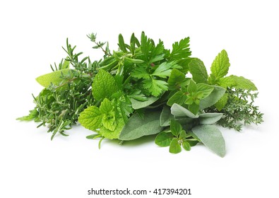 Fresh Spices And Herbs Isolated 