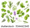 herbs isolated
