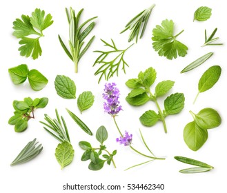 Fresh spices and herbs isolated on white background - Shutterstock ID 534462340