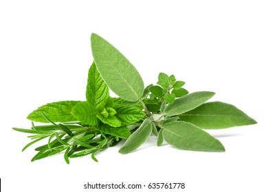 Fresh Spices And Herbs Isolated On White Background