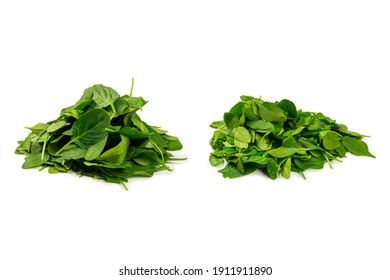 野菜 緑 の画像 写真素材 ベクター画像 Shutterstock