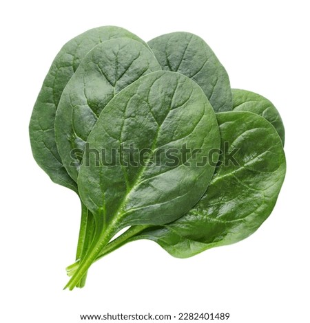 Fresh spinach leaves close-up on a white background. Isolated