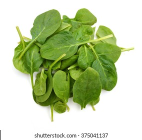 Fresh Spinach Leaves Isolated On White