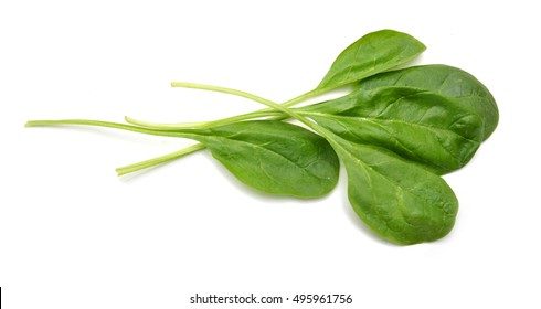 Fresh Spinach Leaves Isolated On White