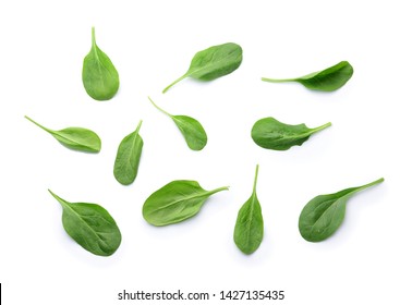 Fresh Spinach On White Background