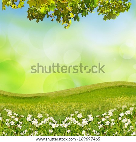 Fresh Spring background 