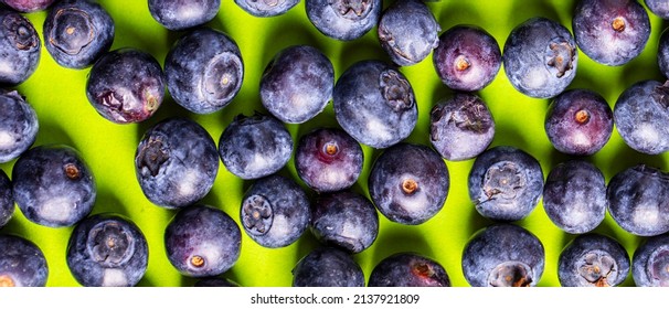 Fresh Spring Blue Berries Close Up