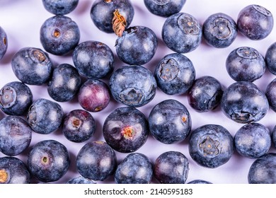 Fresh Spring Blue Berries Close Up