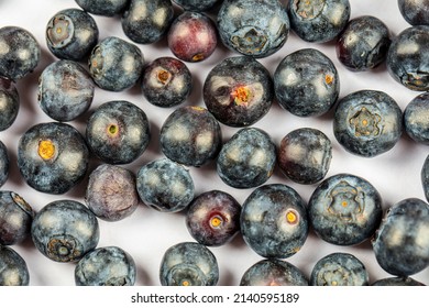 Fresh Spring Blue Berries Close Up