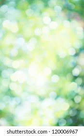 Fresh Spring Bokeh Background