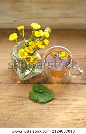 Fresh spring coltsfoot flowers and tea cup on wooden table. Healing herbal infusion with medicinal plant Coltsfoot (Tussilago farfara).