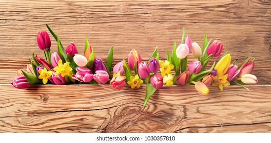 Fresh spring flowers with a mix of daffodils and tulips on a panoramic Easter banner with textured natural wood background and copy space