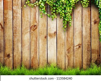 Fresh Spring Green Grass And Leaf Plant Over Wood Fence Background