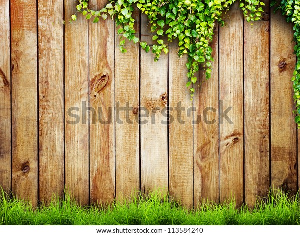 Fresh Spring Green Grass Leaf Plant Stock Photo 113584240 | Shutterstock