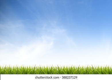 Fresh Spring Green Grass Under Beautiful Blue Sky, White Wispy Cloud And Sunlight - Use For Background Or Backdrop In Summer Holiday Or Environmentally Friendly Concepts