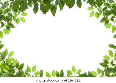 637,185 Leafs board Images, Stock Photos & Vectors | Shutterstock