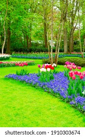 fresh spring lawn with green grass and spring flowers