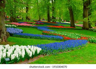 fresh spring lawn with fresh tree, green grass and spring flowers