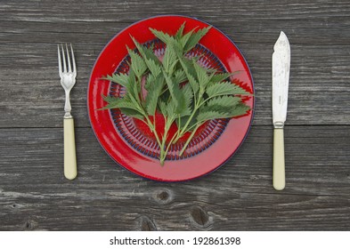 fresh spring nettle herb for healthy ecological food in red plate