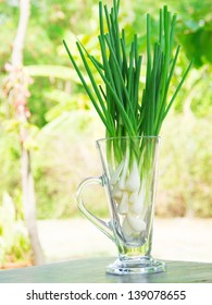 Fresh Spring Onion (also Know As Scallions, Green Shallots, Onion Sticks, Green Onions Or Salad Onions) In Glass.