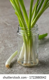 Fresh Spring Onions In A Glass Pot With Water To Keep Them Fresh Close Up