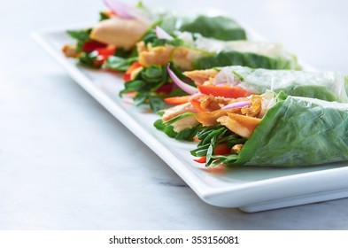 Fresh Spring Roll Canapes Filled With Grilled Chicken And Vegetables, Mini Asian Appetisers