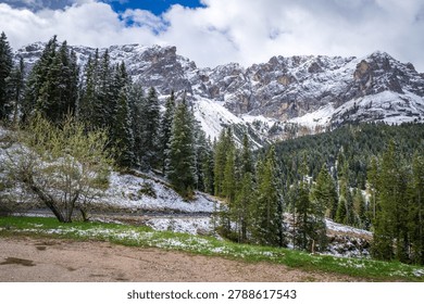 Fresh spring snowfall blankets an alpine forest beneath towering rocky mountains, creating a striking contrast between winter and spring in the highlands.