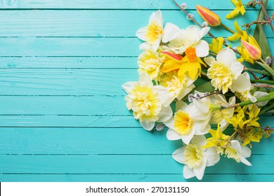 Fresh  spring yellow narcissus, tulips  flowers  on green painted wooden planks. Selective focus. Place for text. 