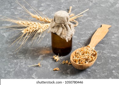 Fresh sprouted wheat seeds in spoon, ears and bottle of wheat germ oil for cosmetic purposes. Source of vitamins and micronutrients, has anti-aging, antibacterial and antioxidant properties