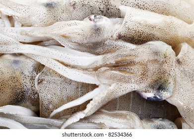 Fresh squid