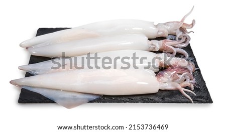 Fresh Squid isolated on white background, Fresh Splendid Squid on black plate With clipping path.