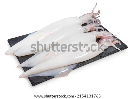 Fresh Squid isolated on white background, Fresh Splendid Squid on black plate With clipping path.