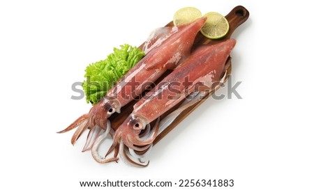 Fresh squid isolated on white background, Squid isolated on white with clipping path.