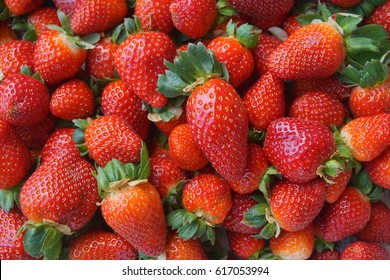 Fresh Stawberry