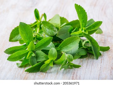 Fresh Stevia Leaves