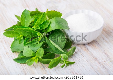 fresh stevia leaves