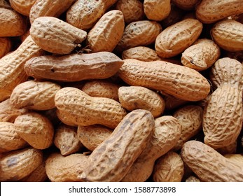 Fresh Stock of Healthy Peanuts. - Shutterstock ID 1588773898
