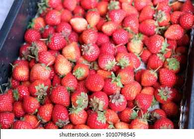 Fresh Strawberries In Taiwan Fruit Market