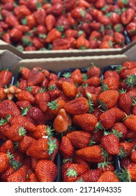 Fresh strawberry harvest top view.