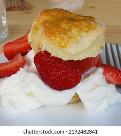 Fresh Strawberry Shortcake With Whipped Cream