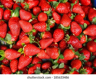 Fresh Strawbery 